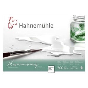 foto di Album Harmony Acquerello - Grana Satinata 300 g/m²- HAHNEMÜHLE