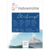 foto di Blocco per pittura ad Olio/Acrilica 230 g/m² HAHNEMÜHLE 10 628 832