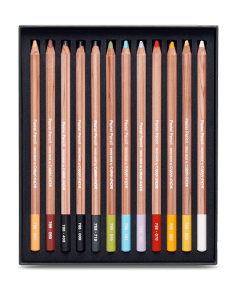 pastel pencil 12 colori 3 ps foto di pastel pencil 12 colori 3 ps