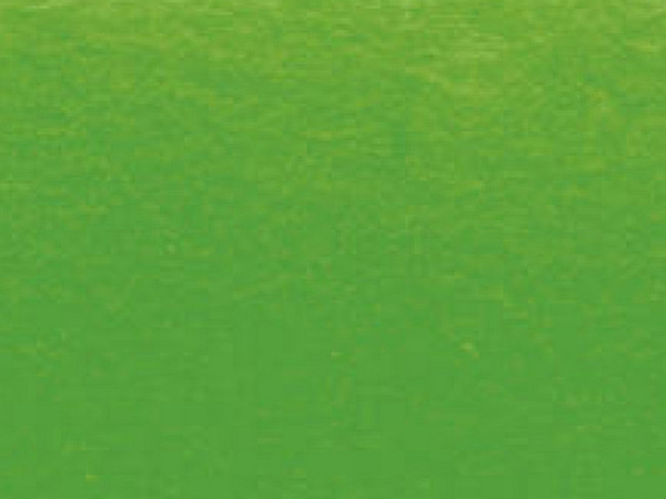 Variante colore Verde Giallastro - 805