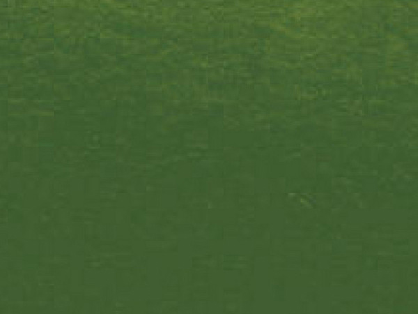 Variante colore Verde Oliva - 813