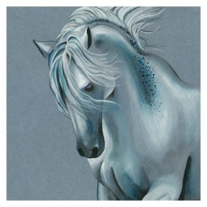 foto di painton blu denim interno ps