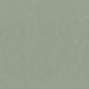 oto di painton foglio interno ps