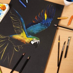 foto di paniton nero foglio interno ps