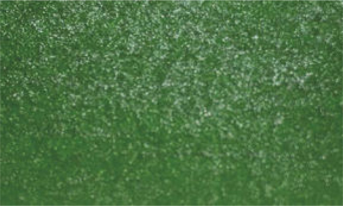 Variante colore Verde Chiaro Iridescente - 013