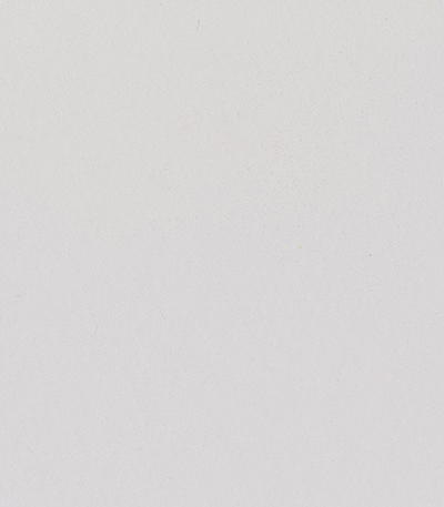 Variante colore Bianco di Titanio Coprente 101 - G1