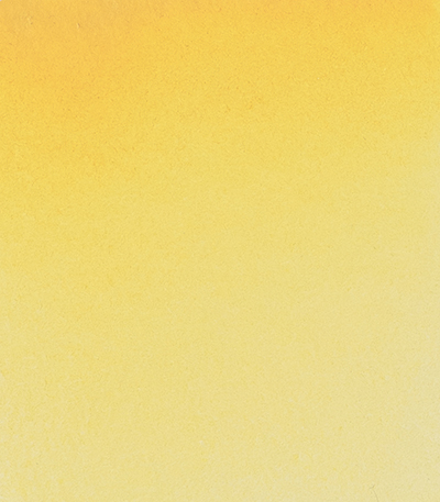 Variante colore Giallo Brillante Scuro 221 - G2