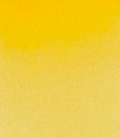 Variante colore Giallo di Cadmio Scuro 226 - G3