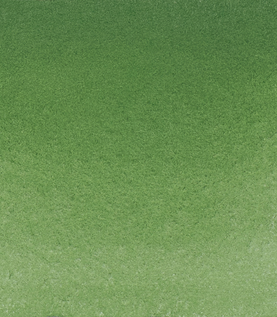 Variante colore Verde di Cromo Ossido Opaco 512 - G2