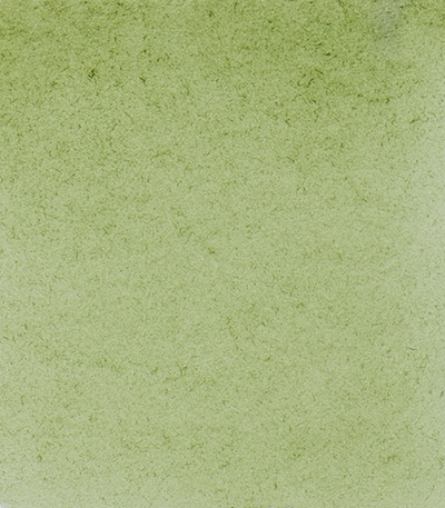 Variante colore Verde Terra 516 - G1