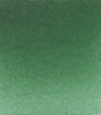 Variante colore Verde di Hooker 521 - G1