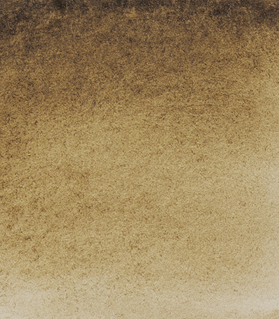 Variante colore Terra d'Ombra Verdastra 665 - G1