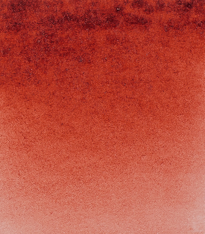 Variante colore Bruno di Garanza 670 - G2