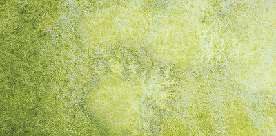 Variante colore Shire Verde Oliva 932