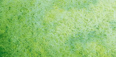 Variante colore Shire Verde 933