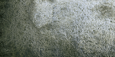 Variante colore Shire Grigio 935