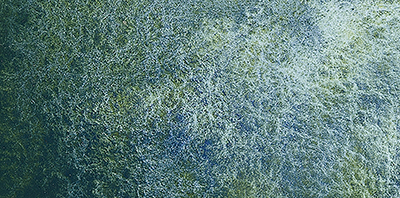 Variante colore Shire Blu 934