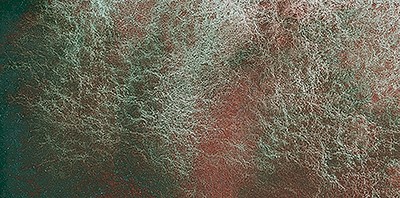 Variante colore Desert Verde 924