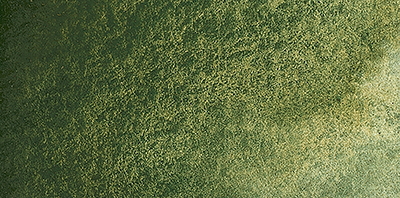 Variante colore Forest Bruno 944