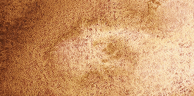 Variante colore Tundra Arancio 981