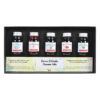 foto di Confezione Inchiostri per stilografiche - 5 x 10 ml - "Set Estate" HERBIN