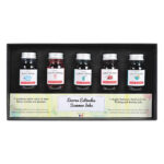 Confezione Inchiostri per stilografiche - 5 x 10 ml - "Set Estate" HERBIN