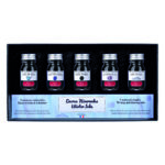 Confezione Inchiostri per stilografiche - 5 x 10 ml - "Set Inverno" HERBIN