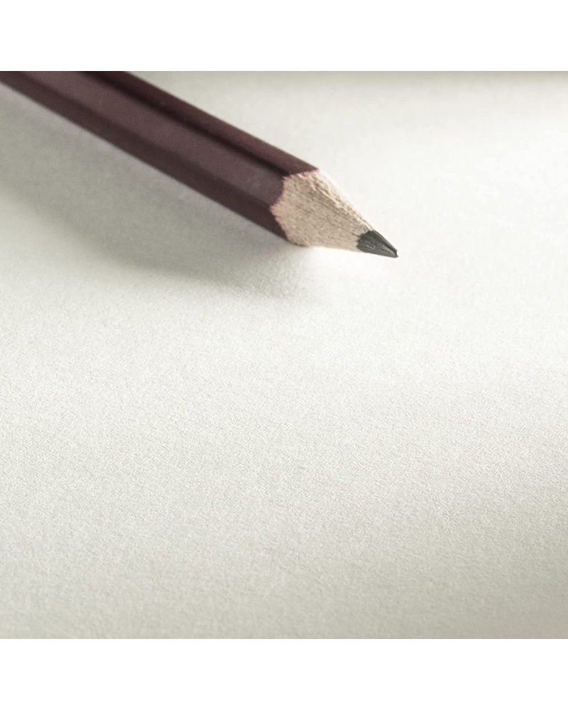 bamboo sketch 10 628 561 gall D