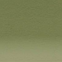 Variante colore Olive Green 5100
