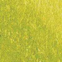 Variante colore Verde oliva 016