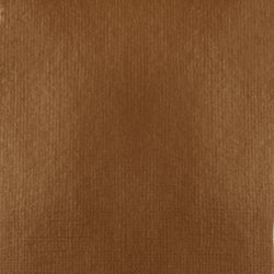 Variante colore 229 Bronzo ricco iridescente S2