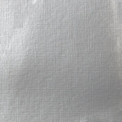 Variante colore 236 Argento chiaro iridescente S2