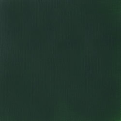 Variante colore 317 Verde ftalo (tono blu) S1