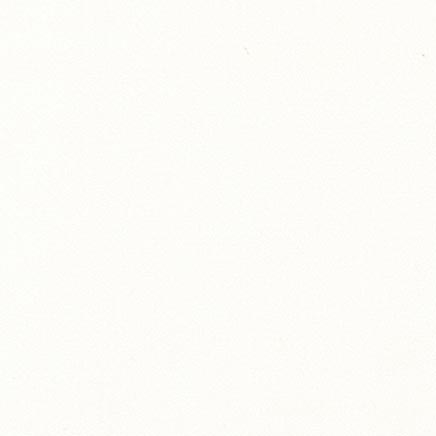 Variante colore 018 Bianco di titanio