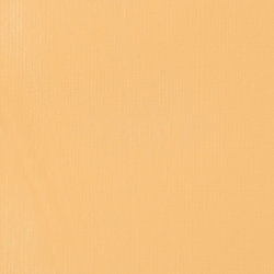 Variante colore 434 Titanio grezzo S1