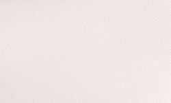 Variante colore 150 Bianco cinese S1