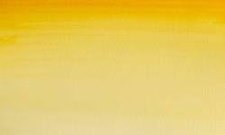 Variante colore 266 Gommagutta imit. S1