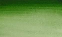 Variante colore 314 Verde di Hooker chiaro S1